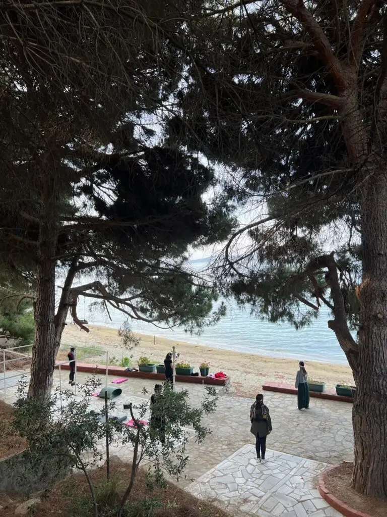 Çam ağaçlarının gölgesinde deniz kıyısında yoga yapan misafir grup.