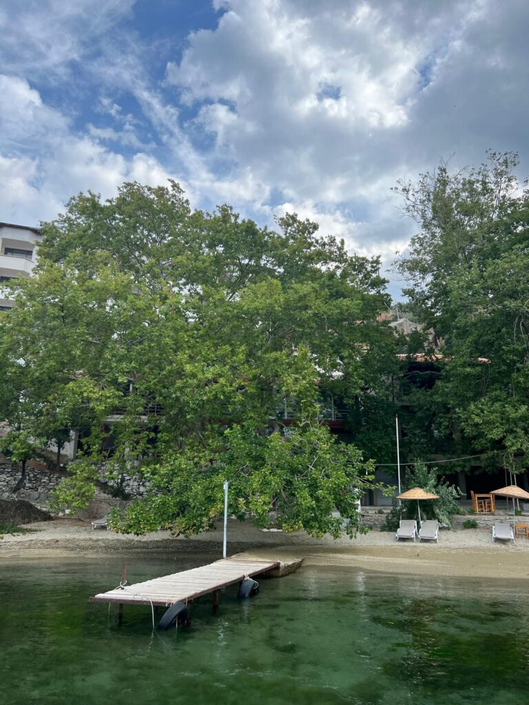 Geniş ağaçların gölgelediği özel bir kumsalda, gökyüzü bulutluyken huzurlu bir iskele manzarası.